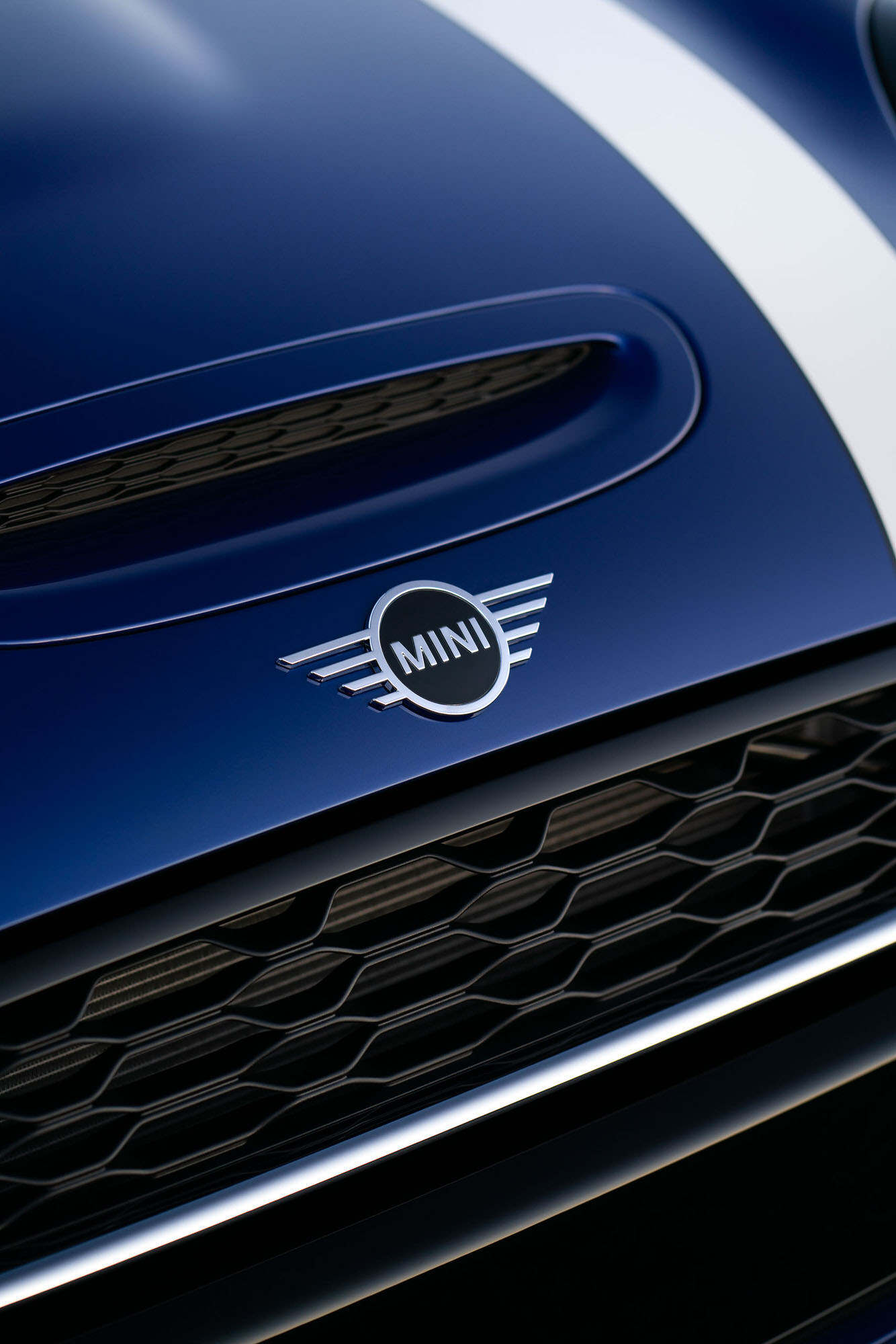Blue MINI emblem