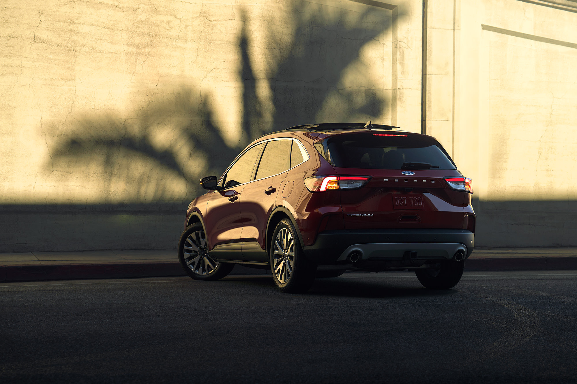 2020 Ford Escape in front of palm tree shadow