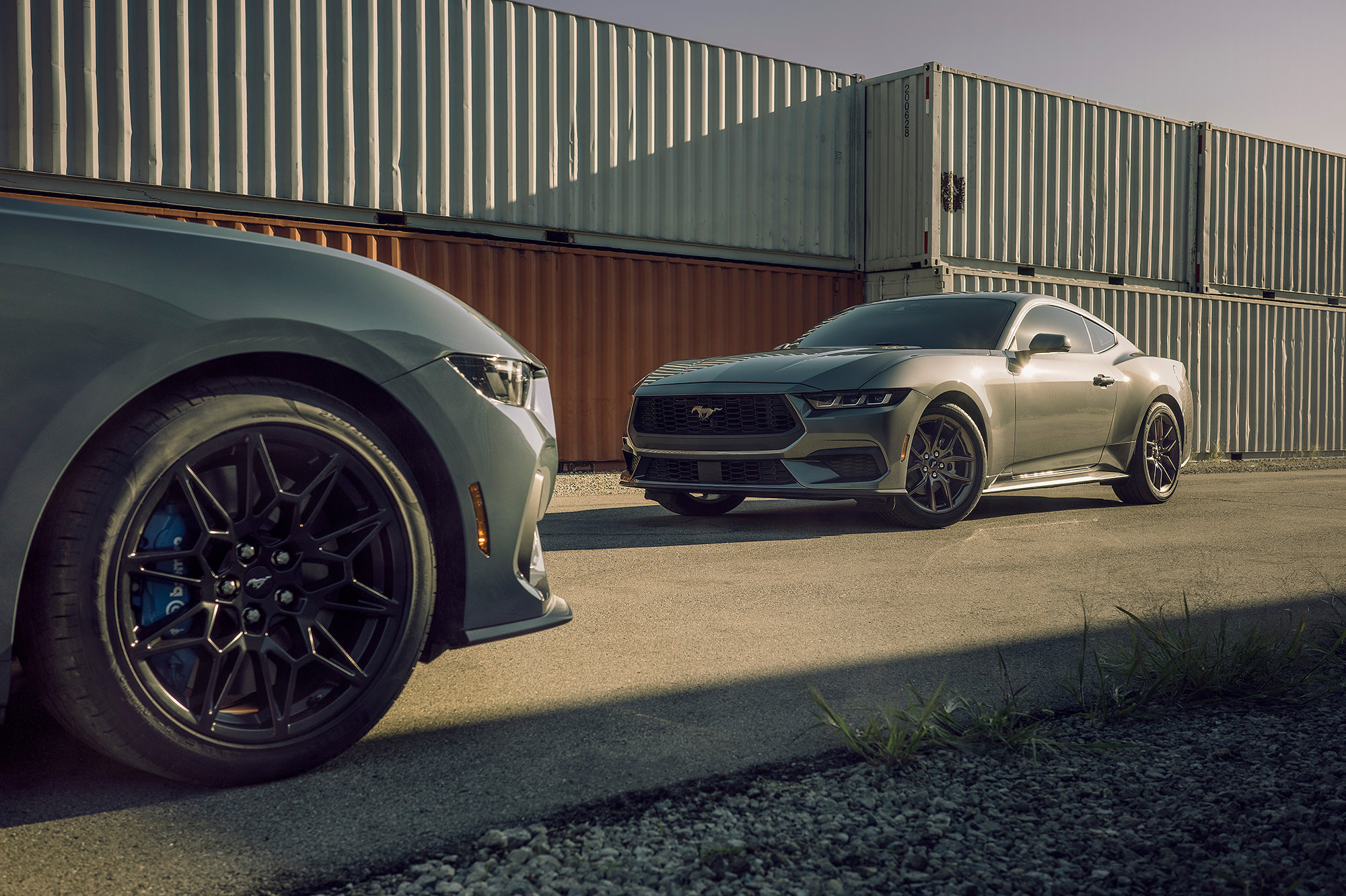 7th Generation 2023 Ford Mustangs