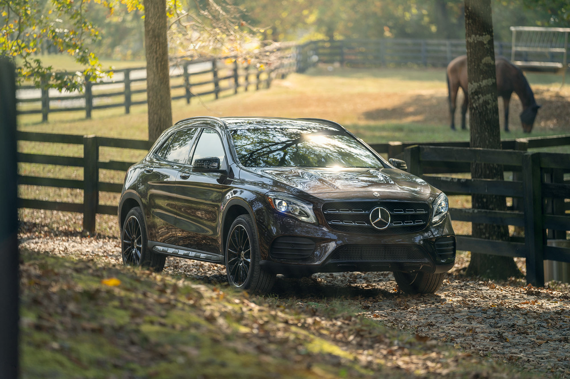 Mercedes-Benz GLA horse farm
