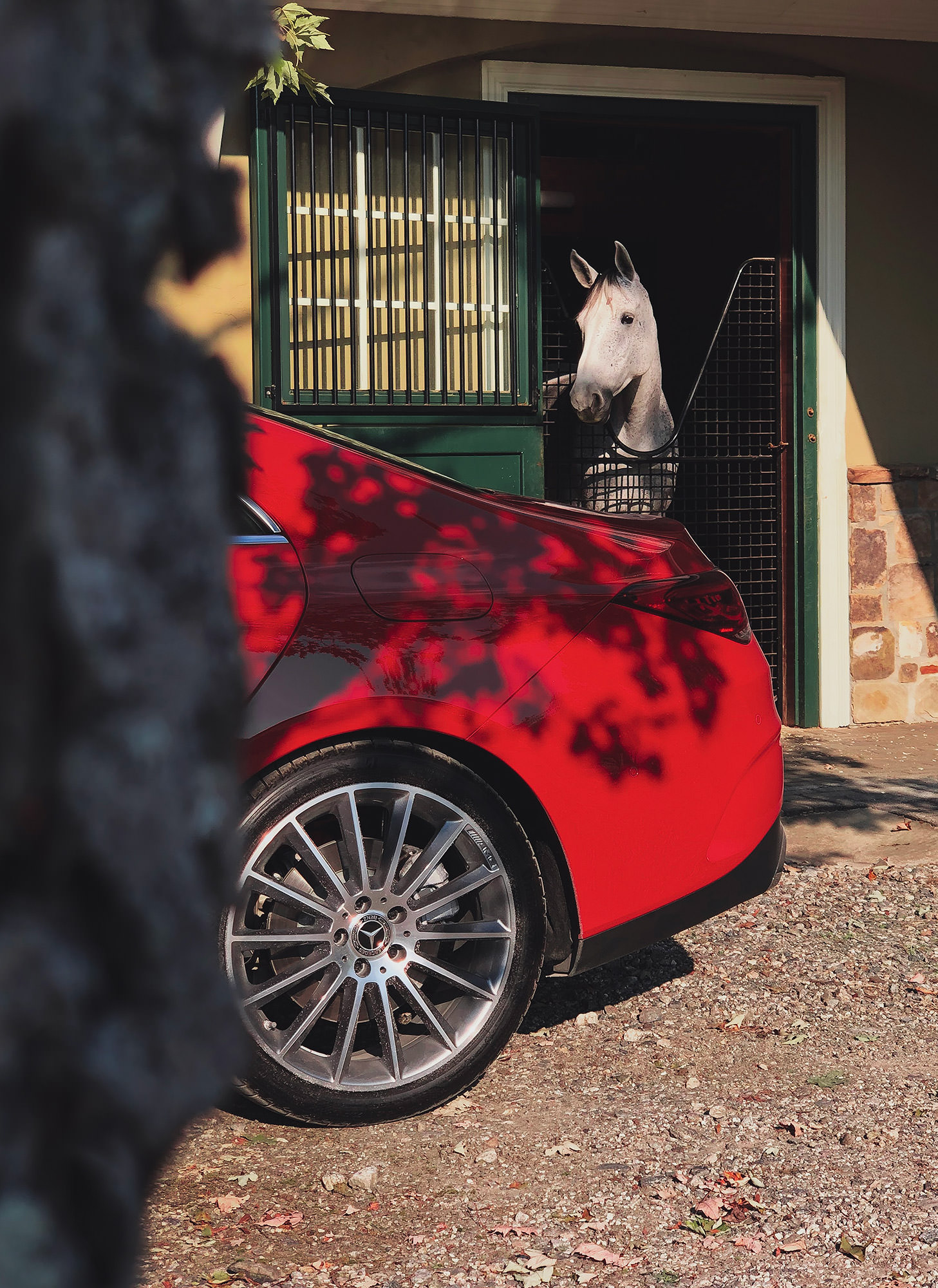 Horse in stable looking at red Mercedes-Benz CLA