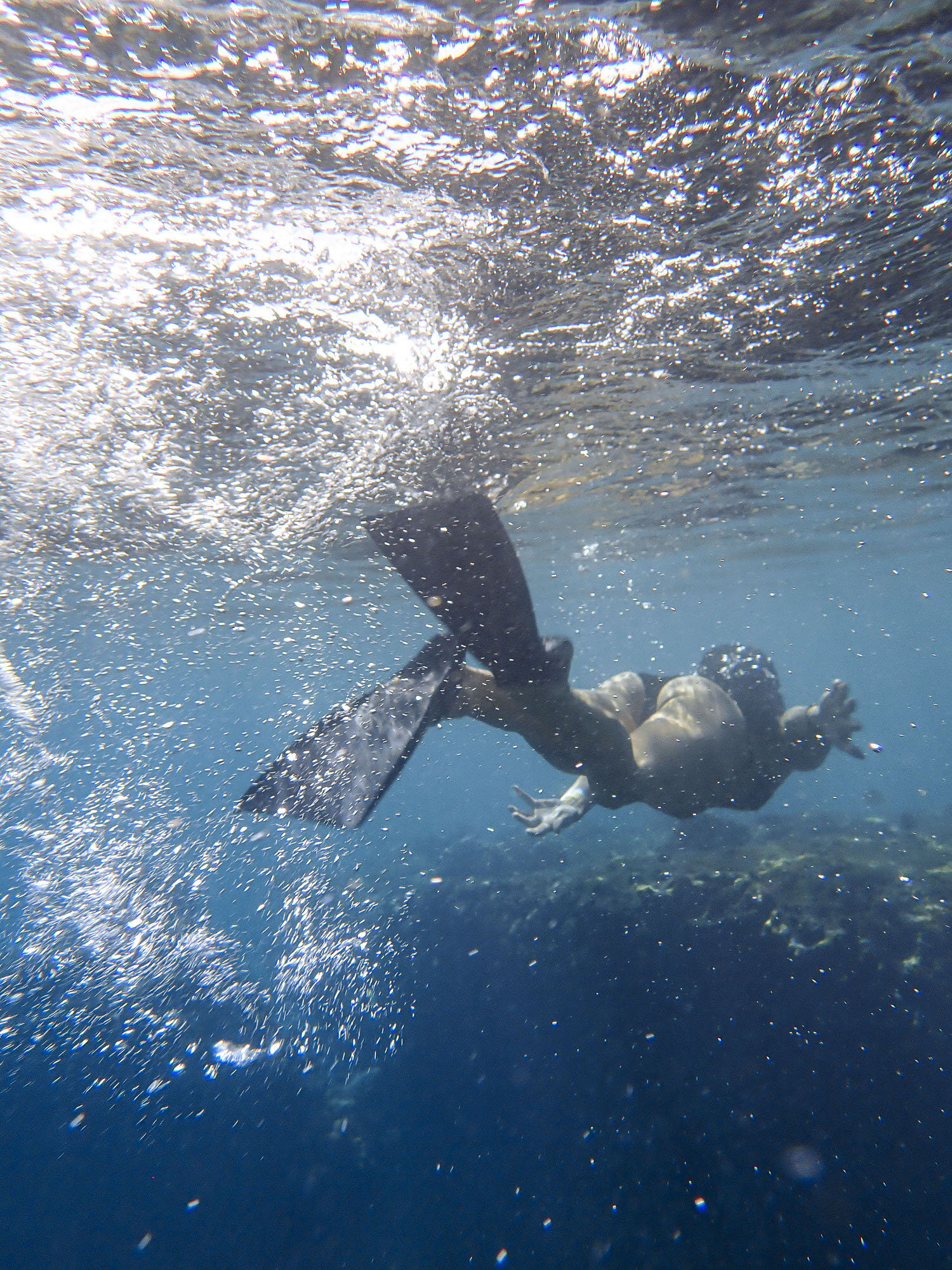 Snorkeling in the beaches of Maui