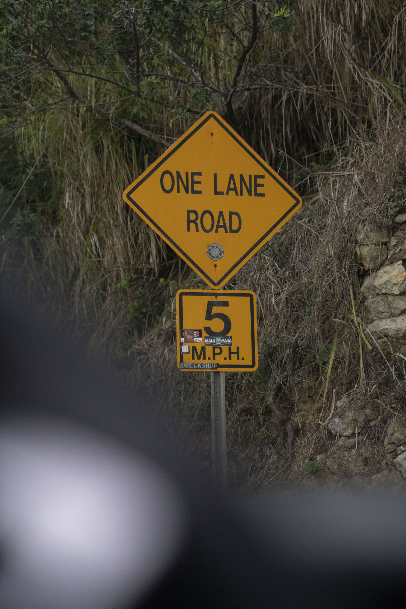 Road to Hana One Lane Road Sign